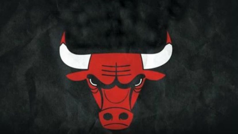 The Bulls