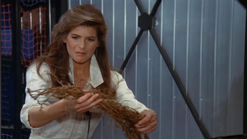 Knight Rider (Dr. Bonnie Barstow)
