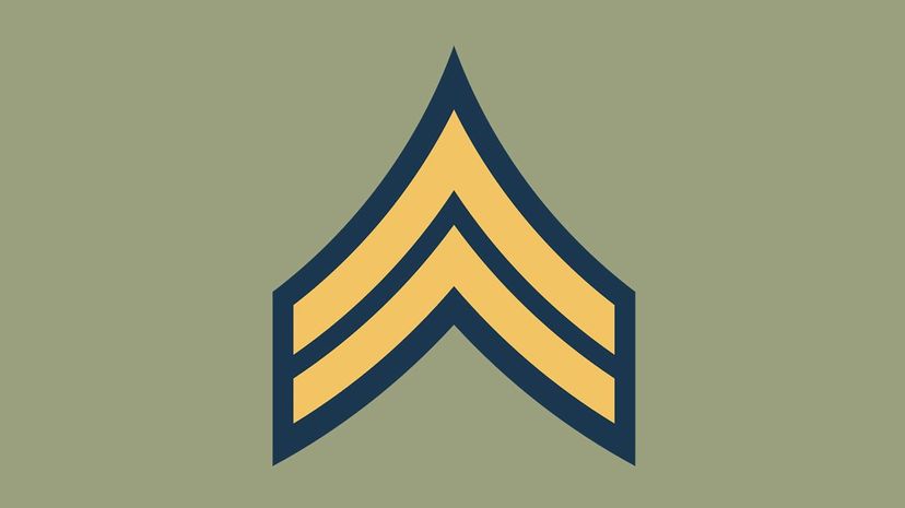 A _________ in the United States Army will wear this insignia.