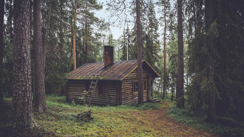 Question 3 - cottage in the woods