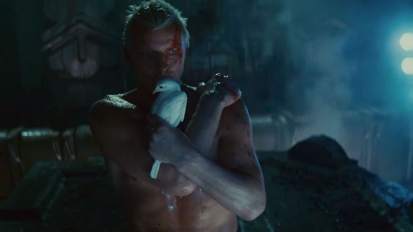 Roy Batty, Blade Runner