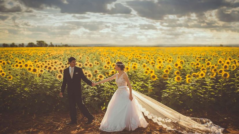 Bride &amp; Groom Sunflower Field