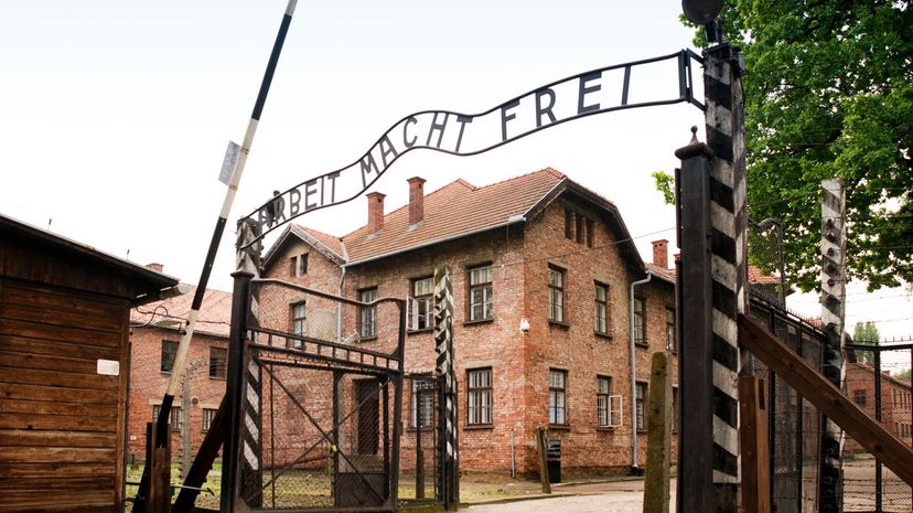 8 - Auschwitz 