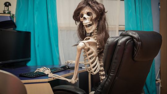97% of People can't Name These Bones in the Human Skeleton! Can you?
