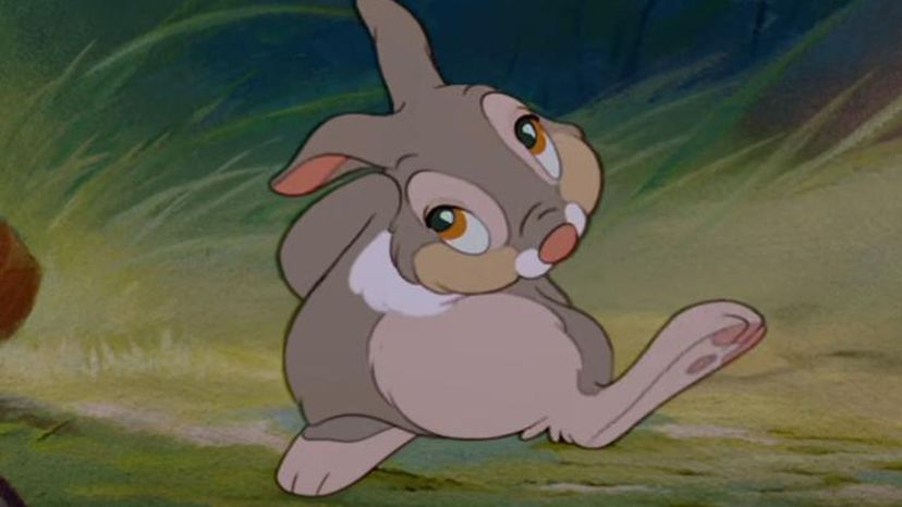 thumper