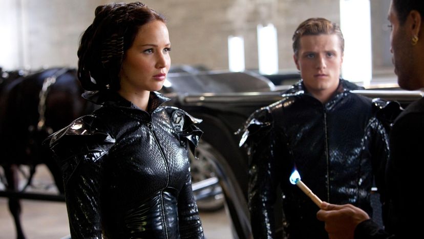The Hunger Games (4)