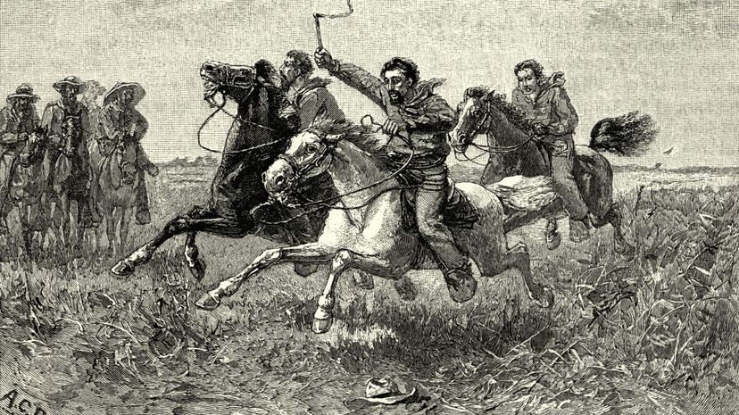 Acadians of Louisiana, Horse race