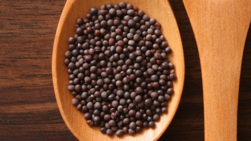 16 Black mustard seeds GettyImages-157439713