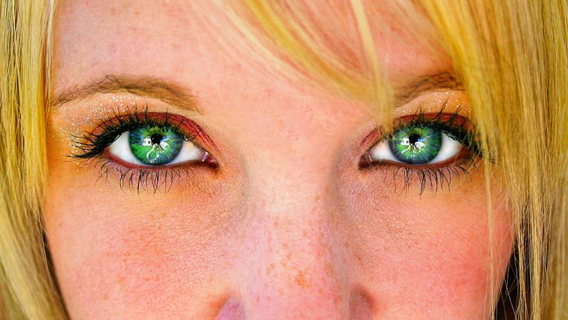 Can We Accurately Guess Your Eye Color Based on Your Answers to These Yes or No Questions?