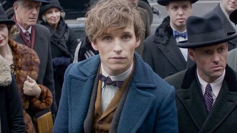 11-NEWT SCAMANDER“border=