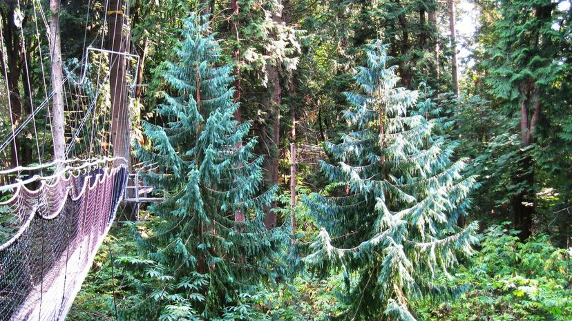 UBC Botanical Garden