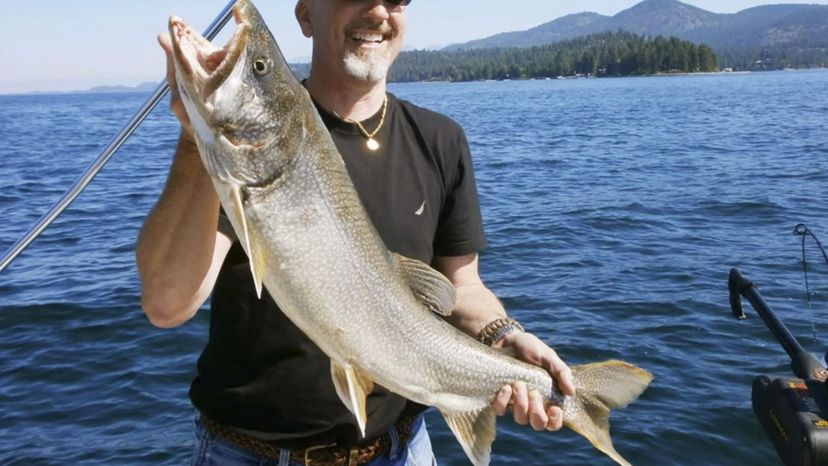 Flathead Trout