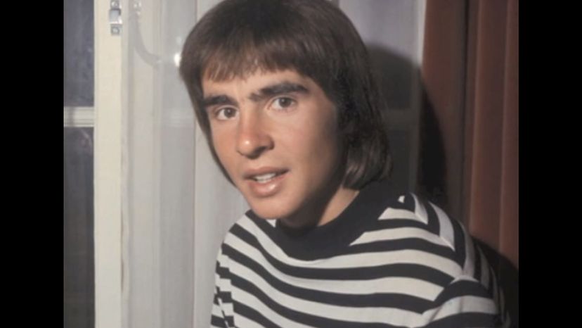 Davy Jones - The Monkees