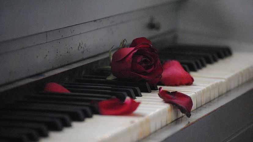 Roses on Dirty Piano