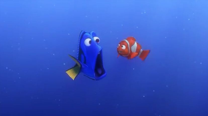 Dory Speaks Whale