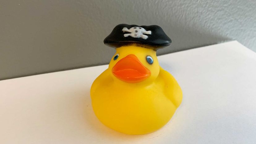Pirate-duck