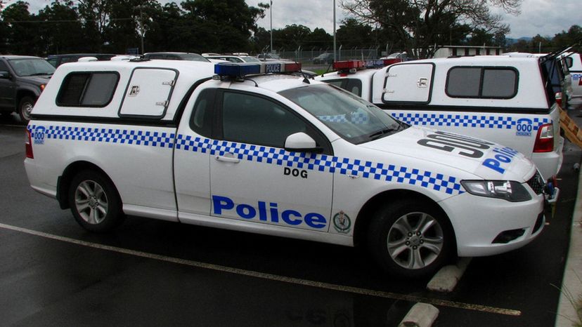 26 NSW_police_canine_unit