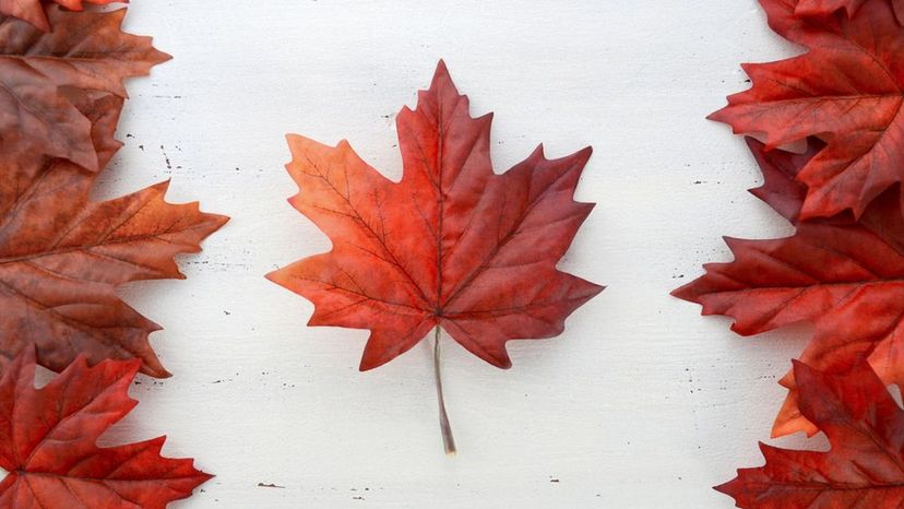Que connaissez-vous de l'histoire entourant La Fête du Canada?