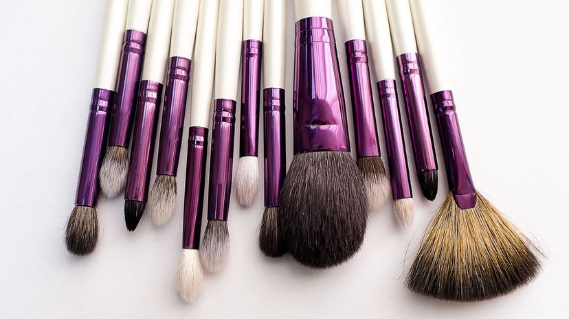 Makeup brushes