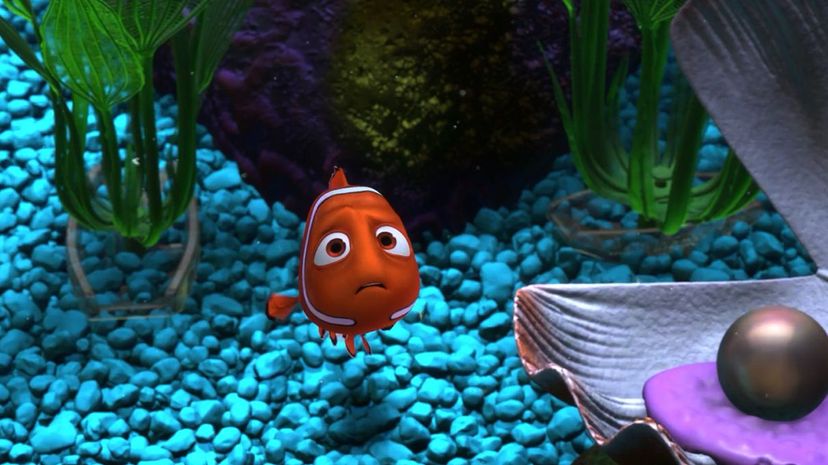 Finding Nemo Dentist Office Fish Tank Animals 