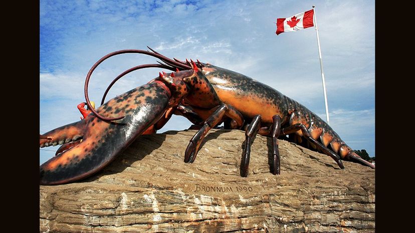 New Brunswick Lobster