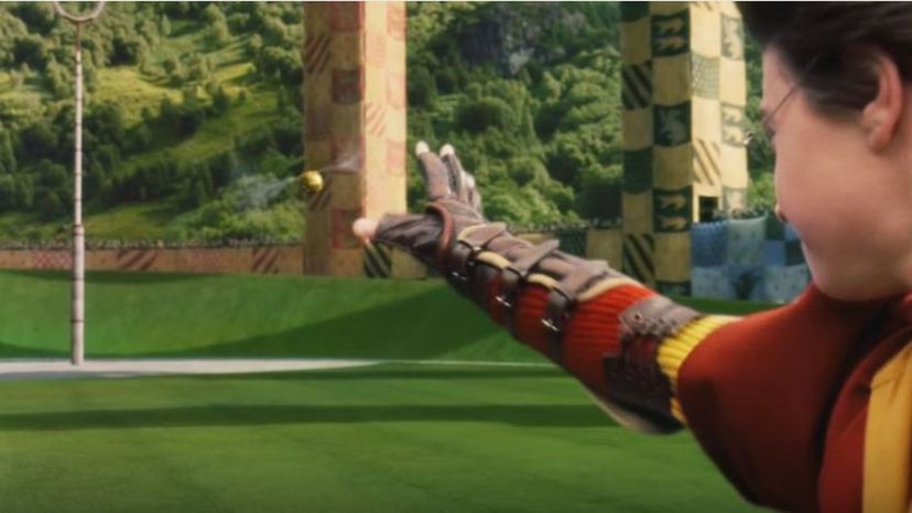 What Position Should You Play in a Quidditch Game?