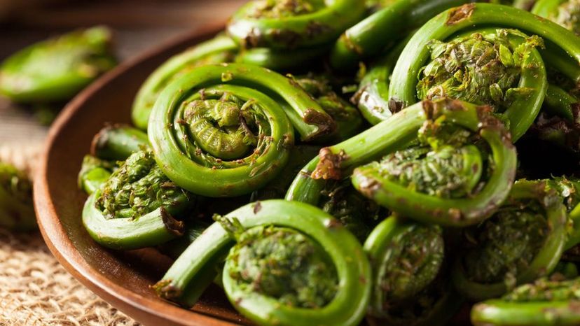 Fiddleheads