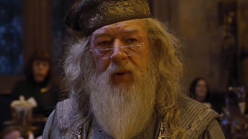 Albus Dumbledore6