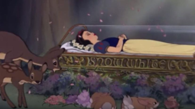 Snow White Sleeping