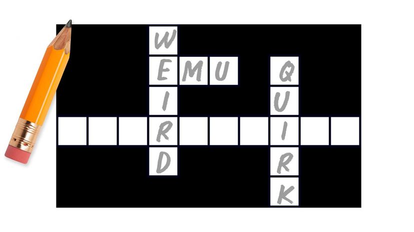 Crossword 11