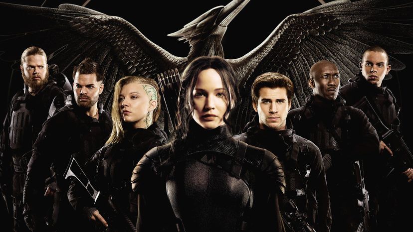 The Hunger Games Mockinjay Part 1 (6)