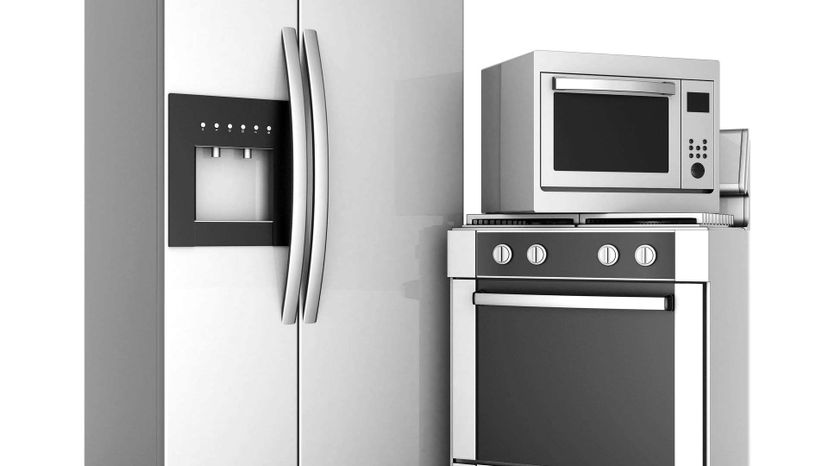 Ever wonder what kind of kitchen appliance you might be?