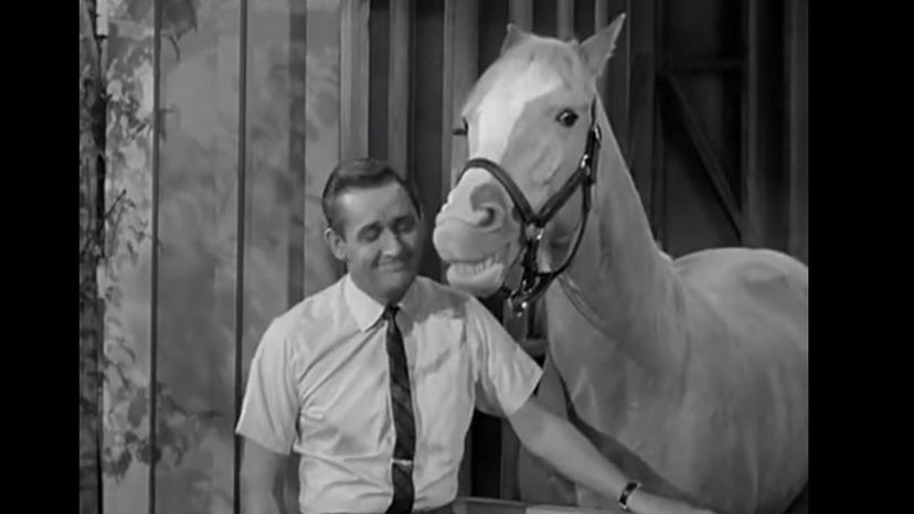 Wilbur Post - Mister Ed