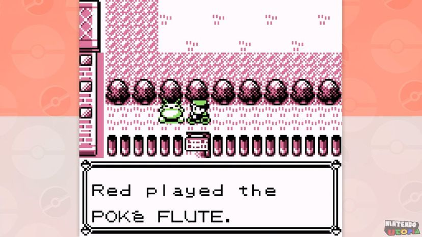 20 poke flute