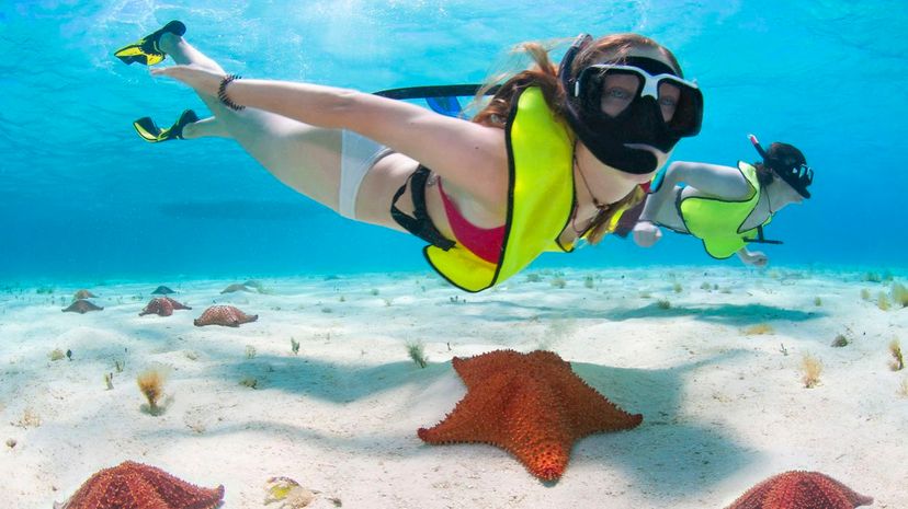 Young couple snorkelling with Starfish