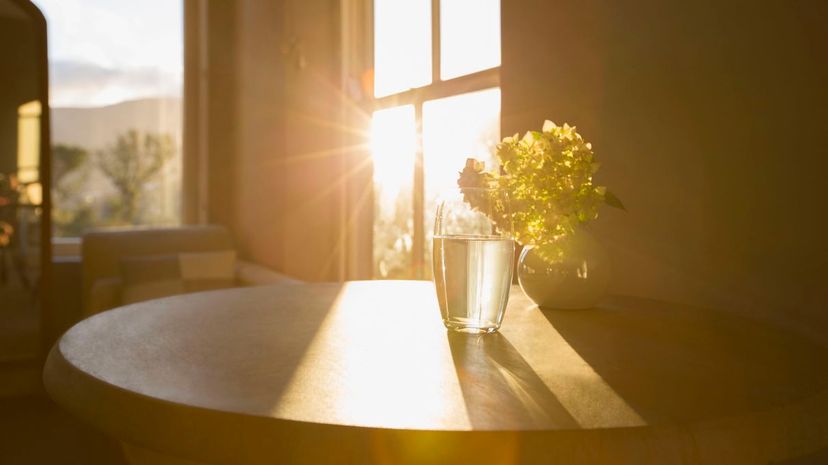 Sun shining in window behind flower in glass