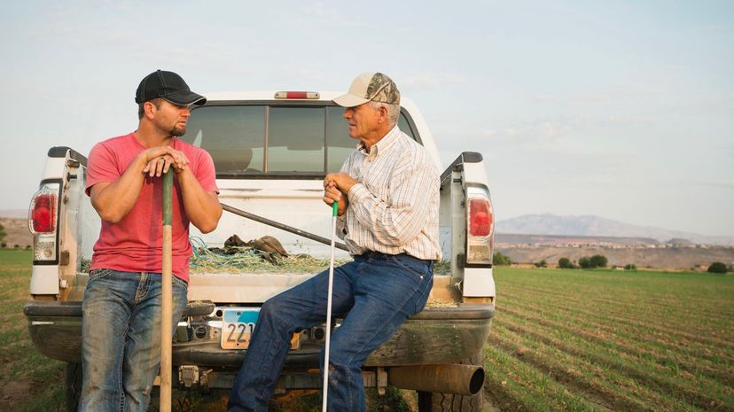 Is Your Brain More Trucker or Farmer?