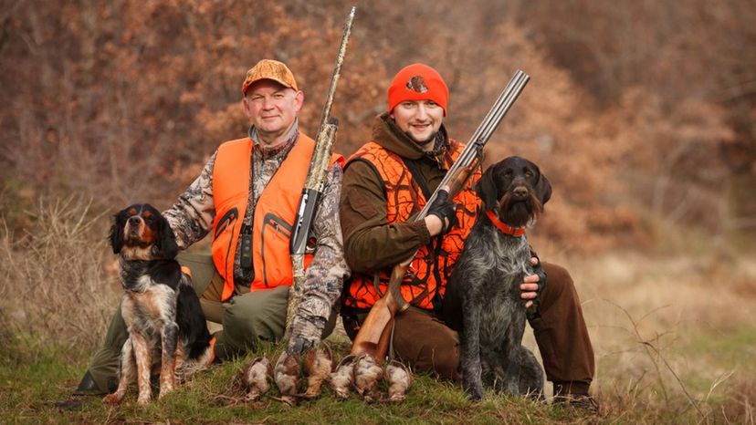 Go Hunting and We'll Tell You Which Dog to Adopt