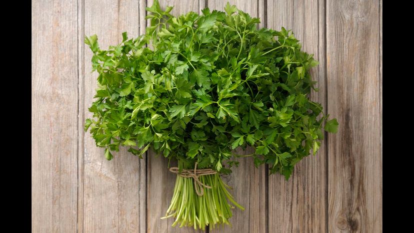 Parsley