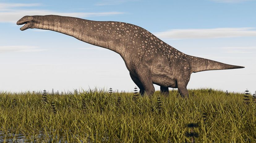 Titanosaurus