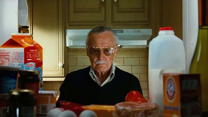 Can You Identify the Movie From Its Stan Lee Cameo?