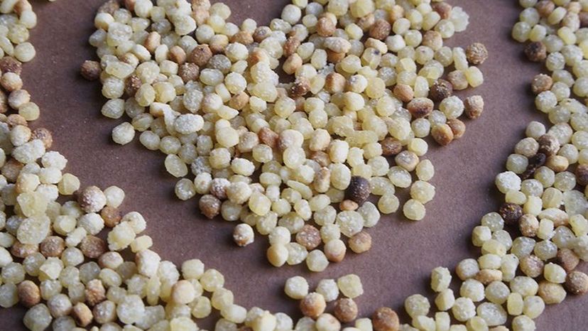 Fregola