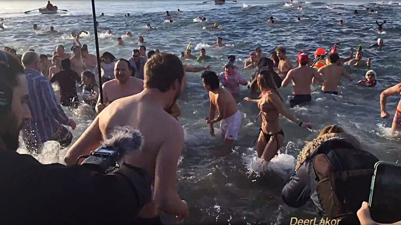 Vancouver Polar Bear Swimming