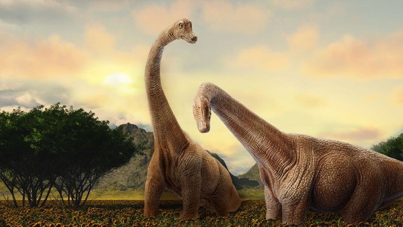 Do You Know These Amazing Dinosaur Facts?