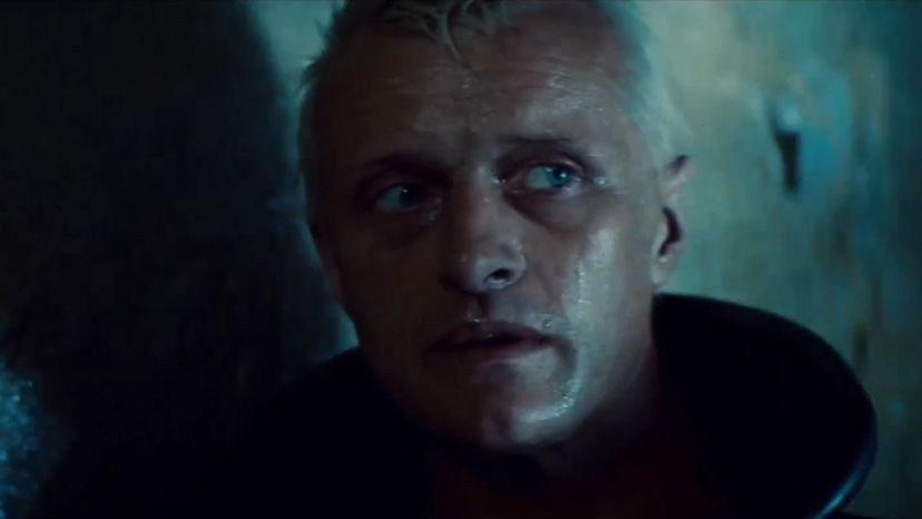 Roy Batty-Blade Runner