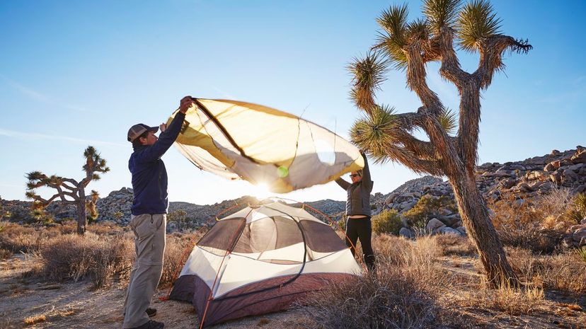 Go Camping and We'll Guess What National Park You Are