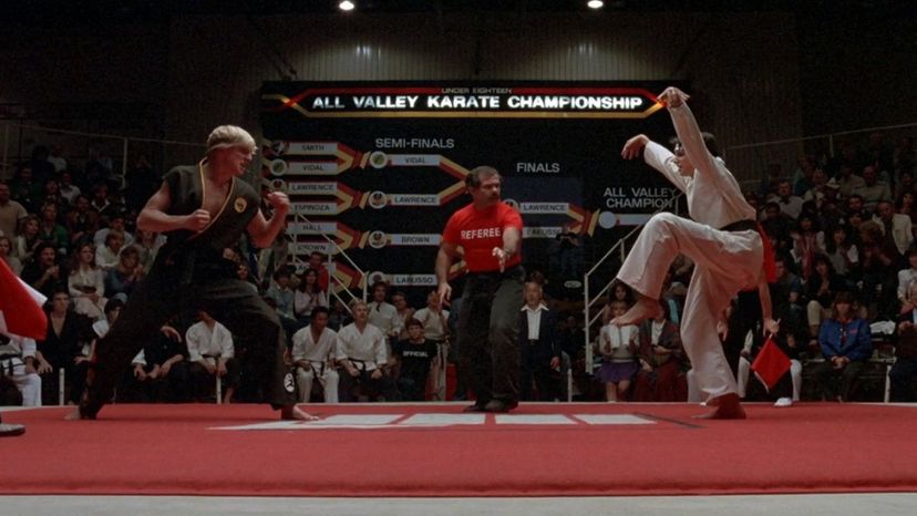 What Karate Kid Character Are You?