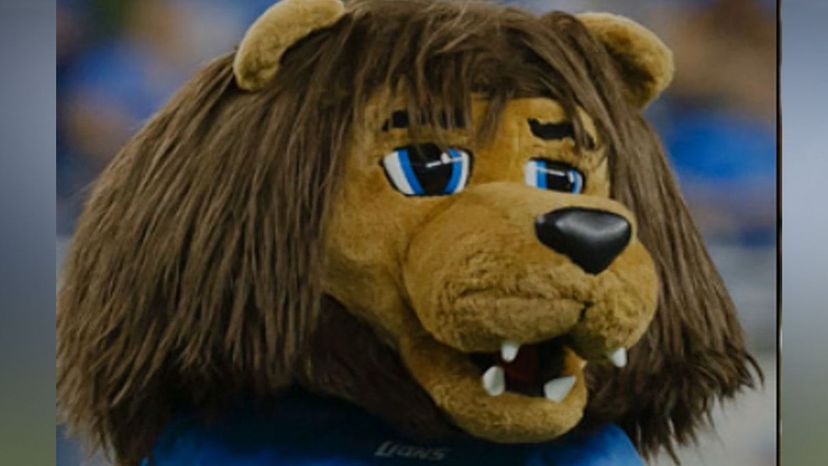 Detroit Lions