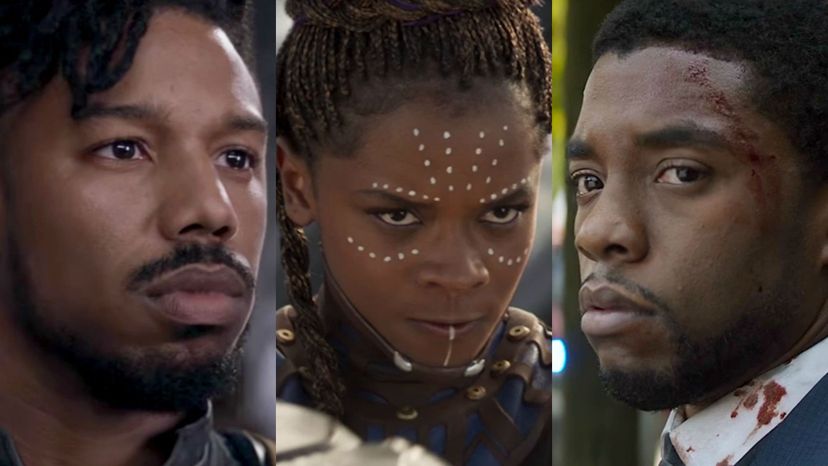 Which Black Panther Character Are You?