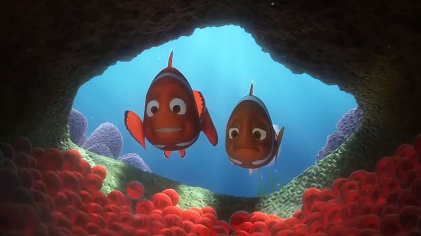 Are You a Finding Nemo Expert? | HowStuffWorks